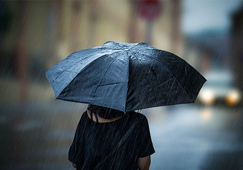A small outbreak in the umbrella industry: last year registrations increased by 139%